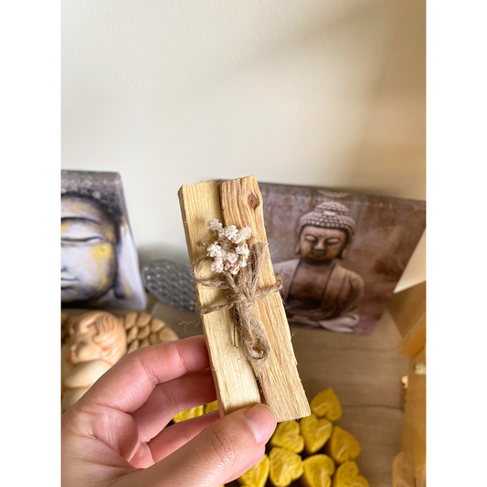 Palo Santo - Kit de 5 sticks