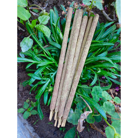 Incienso de Ruda por mayor (grueso)